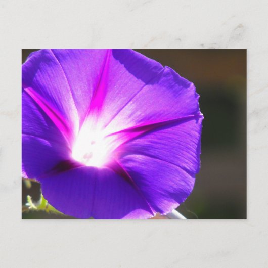 白熱［赤熱］光を放つハートはがき ポストカード (正面)