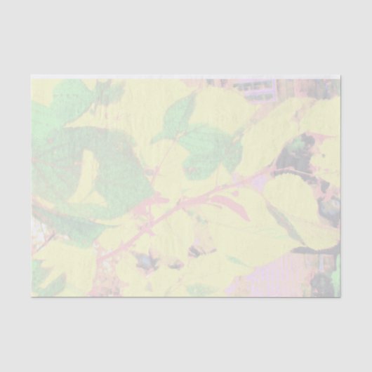 '白熱［赤熱］光を放つ紅葉'ティッシュペーパー 薄葉紙 (正面)
