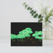 白熱［赤熱］光を放つ茸 ポストカード (スタンド正面)