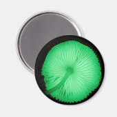 白熱［赤熱］光を放つ茸 マグネット (正面/裏面)