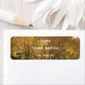 白熱［赤熱］光を放つ《植物》アスペン ラベル (インサイチュ)