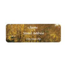 白熱［赤熱］光を放つ《植物》アスペン