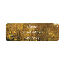 白熱［赤熱］光を放つ《植物》アスペン ラベル