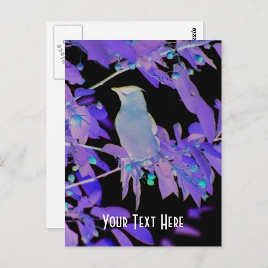 白熱［赤熱］光を放つBird On Branchカスタマイズ可能はがき ポストカード (正面/裏面)