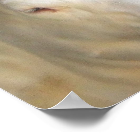 白牛 ポスター (角)