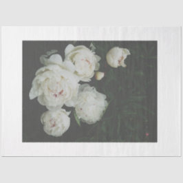 白牡丹デコページ紙 薄葉紙