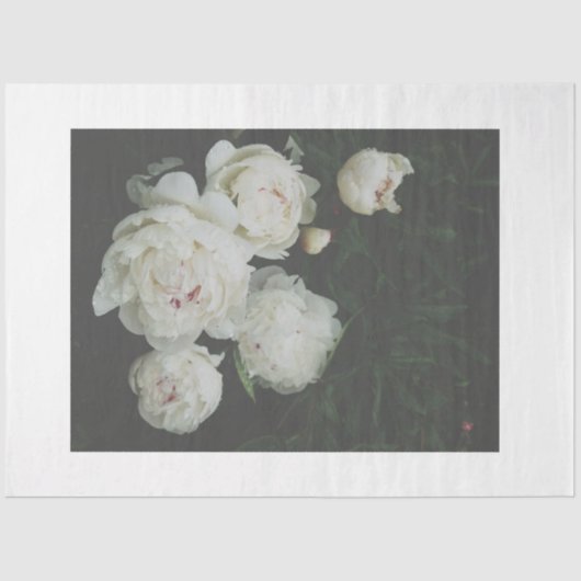 白牡丹デコページ紙 薄葉紙 (正面)