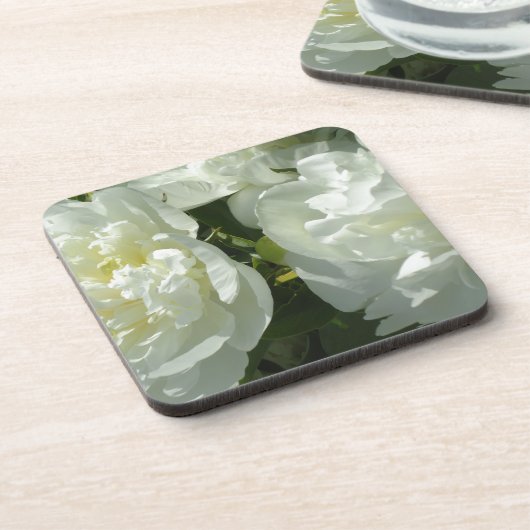 白牡丹 コースター (左側)