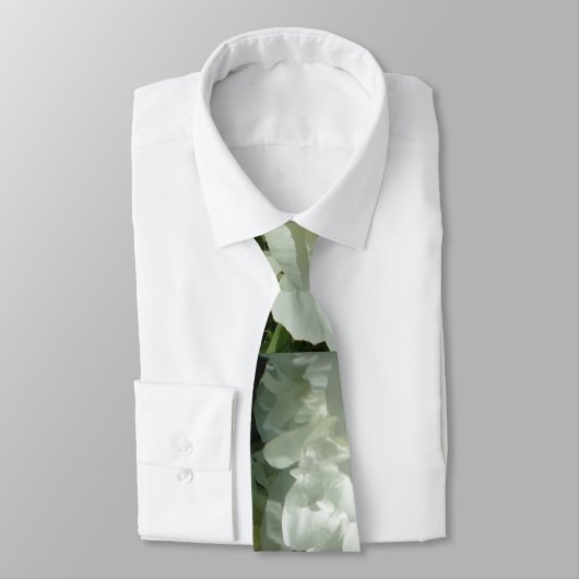 白牡丹 ネクタイ (タイ)
