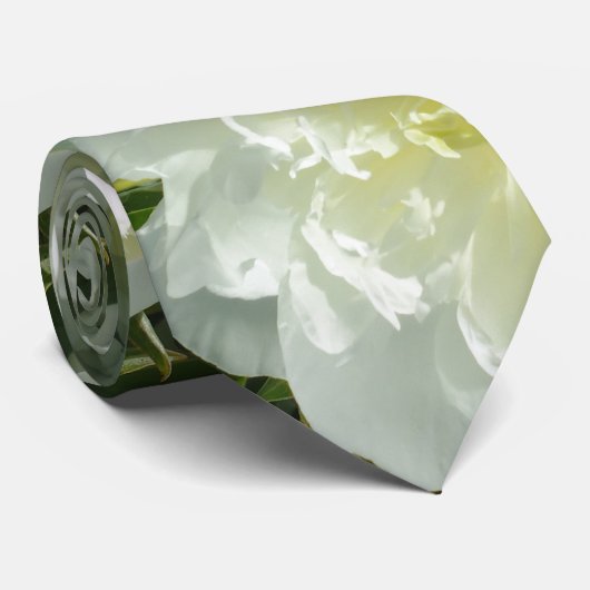 白牡丹 ネクタイ (ロール)