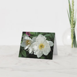 白牡丹 ノートカード