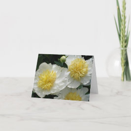 白牡丹 ノートカード