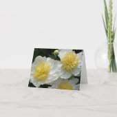 白牡丹 ノートカード (正面)