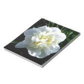 白牡丹 ノートパッド (回転)