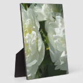 白牡丹 フォトプラーク (側面)