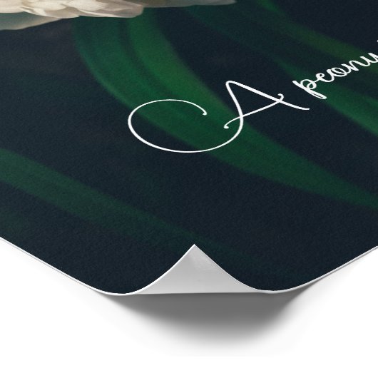 白牡丹 ポスター (角)