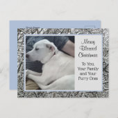 白犬とパパ冬の雪のクリスマスの写真 シーズンポストカード (正面/裏面)