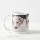 白犬のかわいらし写真3 コーヒーマグカップ (左)