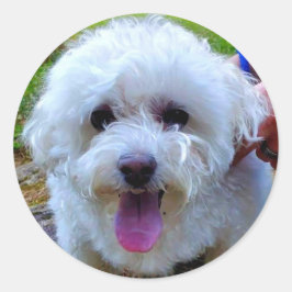 白犬 ラウンドシール