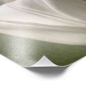 白独身のチューリップフラワー8x8 フォトプリント (角)