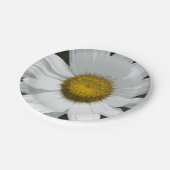 白独身のデイジー ペーパープレート (アングル)