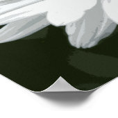 白独身のデイジー ポスター (角)