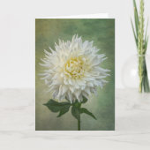 白独身の花札 カード (正面)