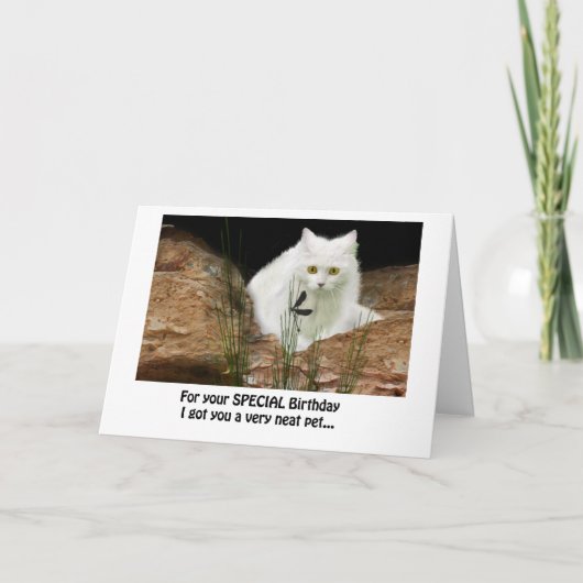 白猫とトンボのクロップ、誕生日文字... カード (正面)