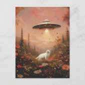 白猫とUFO ポストカード (正面)