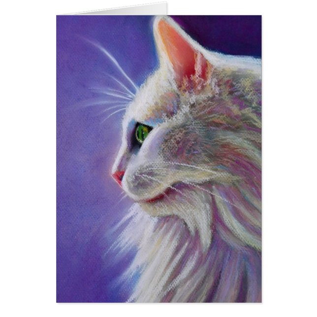 白猫のプロフィール (正面)