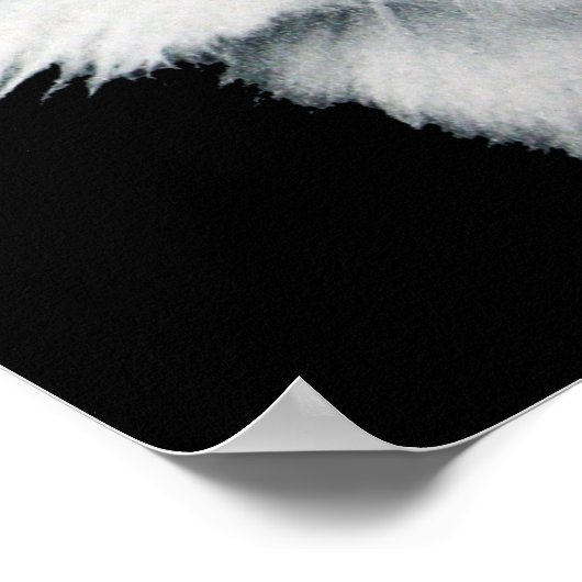 白猫の女王 ポスター (角)