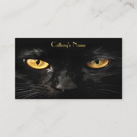 白猫パーソナライズされた猫の名刺 名刺 (正面)