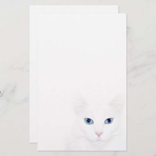 白猫顔 便箋 (正面/裏面)