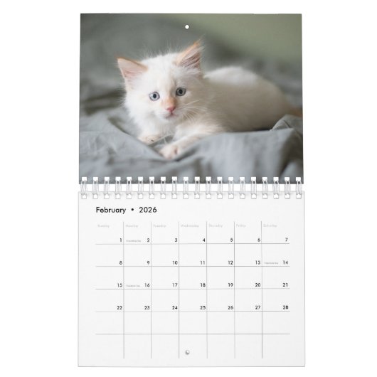 白猫 カレンダー (2月 2026)