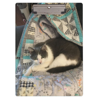 白猫 クリップボード