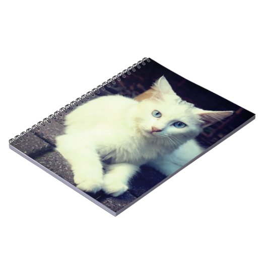 白猫 ノートブック (左側)