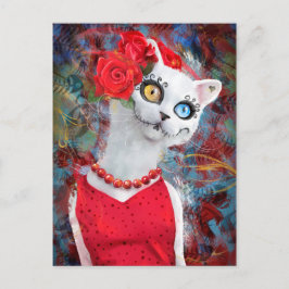 白猫(バラ) ポストカード