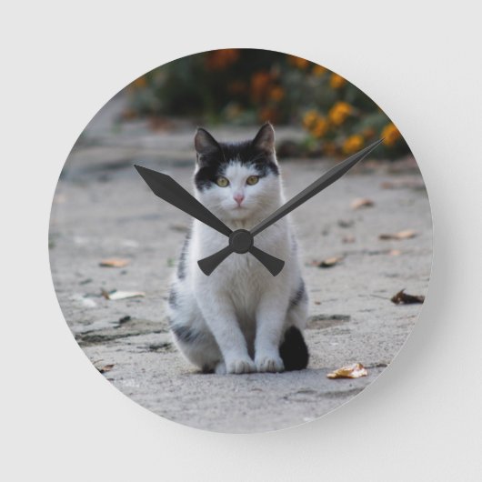 白猫、ペット ラウンド壁時計 (正面)