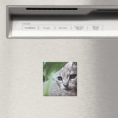 白猫 マグネット (インサイチュ (食洗機))