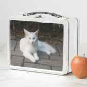 白猫 メタルランチボックス (インサイチュ)