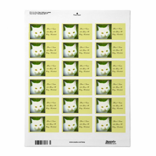 白猫 ラベル (フルシート)