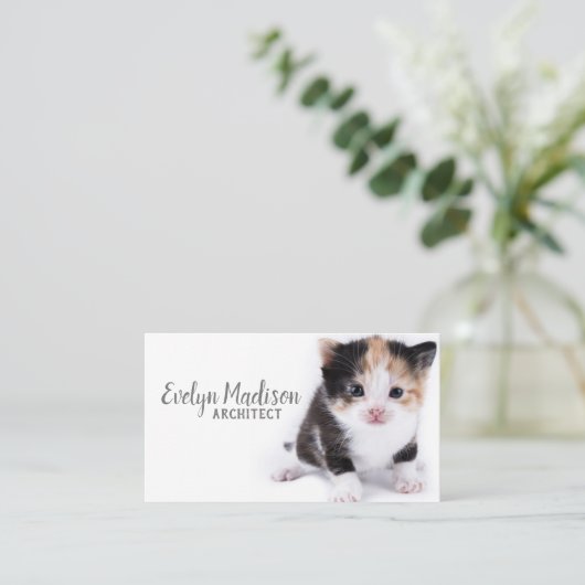 白猫 名刺 (スタンド正面)