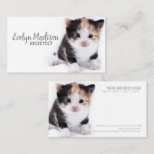 白猫 名刺 (正面/裏面)