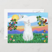 白猫 – 明るい暮らし ポストカード (正面/裏面)