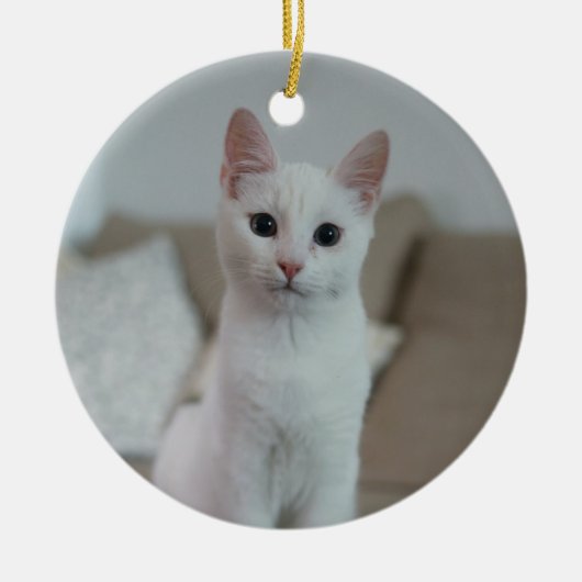 白猫 | Zazzle_Growshop。 セラミックオーナメント (正面)