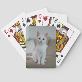 白猫 | Zazzle Growshop トランプ