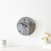 白猫 | Zazzle_Growshop。 ラウンド壁時計 (ホーム)