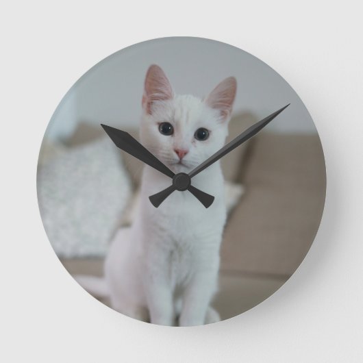 白猫 | Zazzle_Growshop。 ラウンド壁時計 (正面)