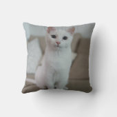 白猫 | Zazzle_Growstore クッション (裏面)
