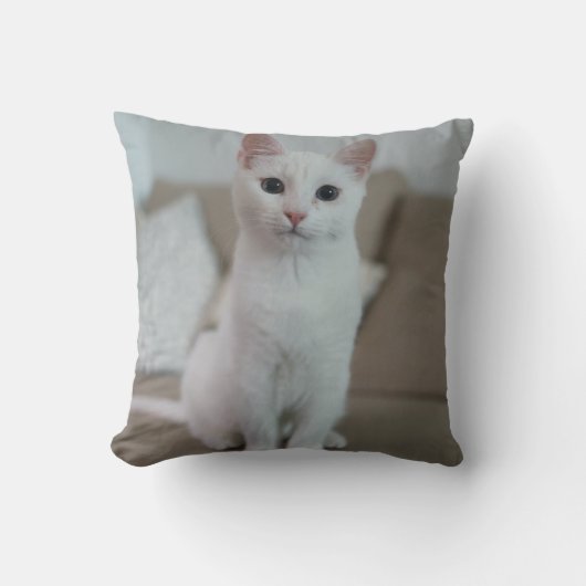 白猫 | Zazzle_Growstore クッション (正面)